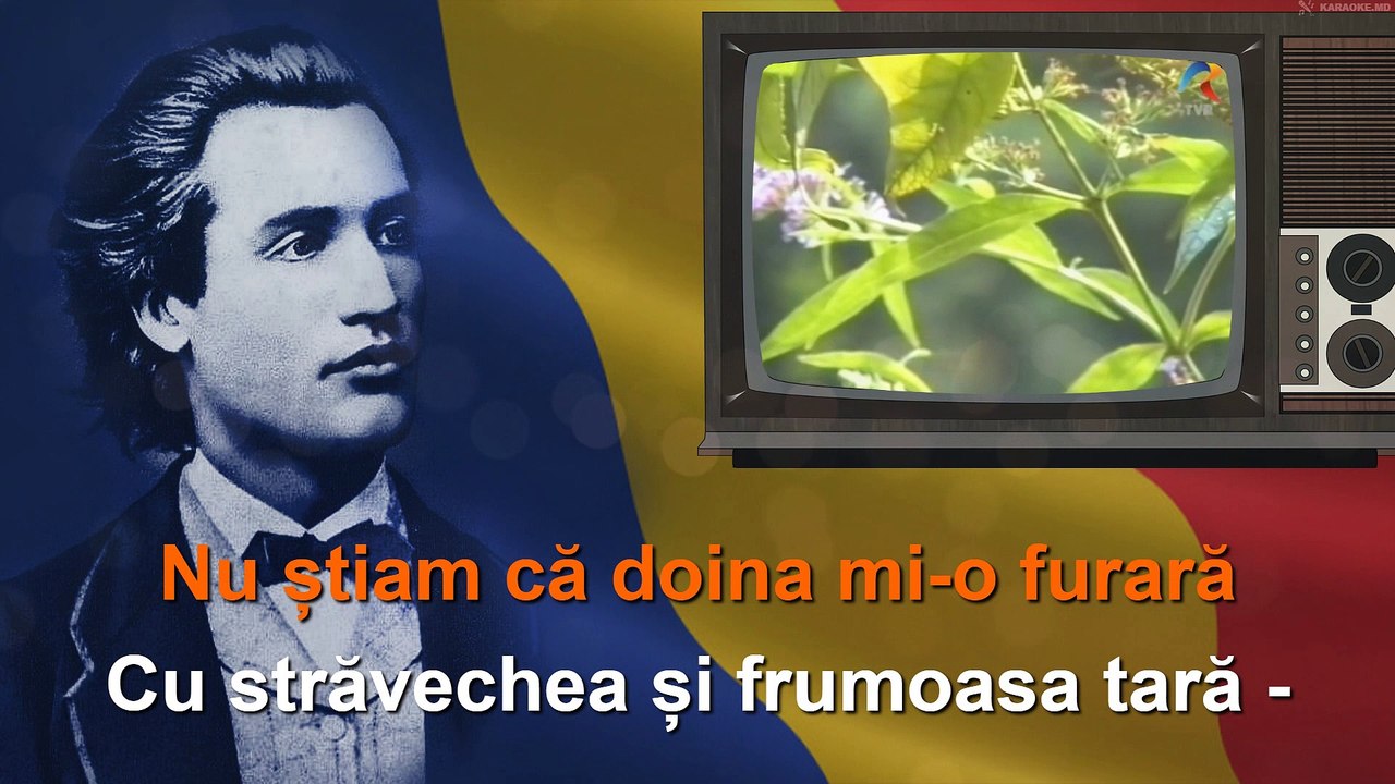 Ion & Dona Aldea-Teodorovici: "Eminescu". Karaoke