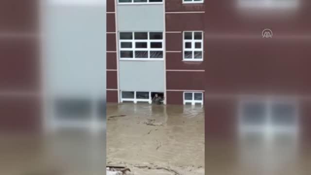 KASTAMONU - Selde yaşamını yitiren MEB personelinin köpeği Bozkurt a jandarma sahip çıktı