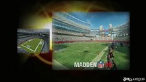 Madden NFL 09: Características 1