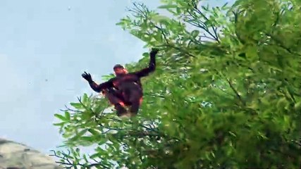 Crysis Warhead: Trailer oficial 1