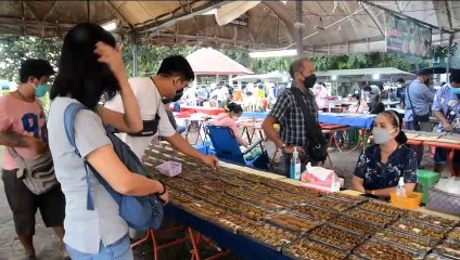 ตลาดขายต้นไม้วันอาทิตย์สิงห์บุรีคึกคัก พ่อค้า-แม่ค้าตั้งร้านขายกันยาวถึง 3 กม.