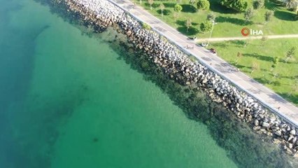 Müsilajdan arındırılan Caddebostan ve Kartal sahilleri böyle görüntülendi
