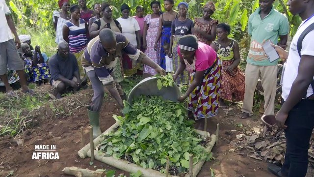 A voir | Made In Africa : Le business de l'engrais et du phytosanitaire en Côte d'Ivoire