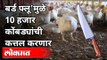 बर्ड फ्लू असलेल्या १ किलोमीटर भागातील पक्षी करणार नष्ट | Bird Flu In Maharashtra | Dhananjay Parkale