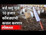 बर्ड फ्लू असलेल्या १ किलोमीटर भागातील पक्षी करणार नष्ट | Bird Flu In Maharashtra | Dhananjay Parkale