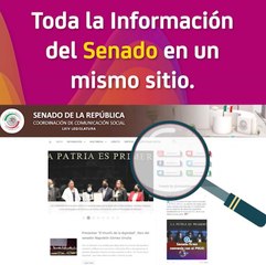 Toda la información del Senado en un mismo sitio
