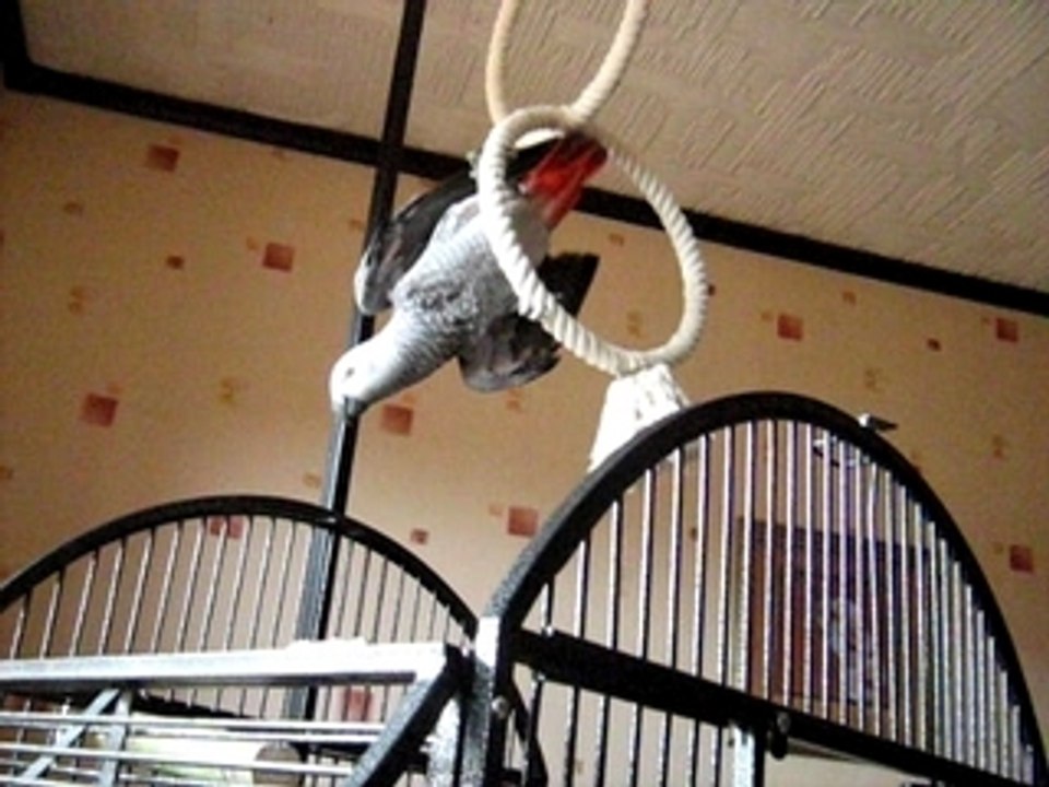 MVI_0586