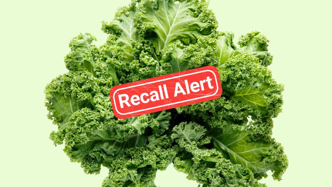 Kale Recalled in 10 States Due to Potential Listeria Contamination