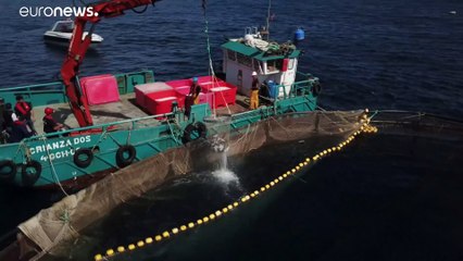 Pesca europea, una Ong critica le eccessive riduzioni fiscali