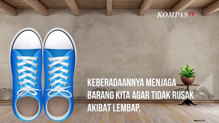 Jangan Dibuang! Berikut Ragam Manfaat dari Silica Gel