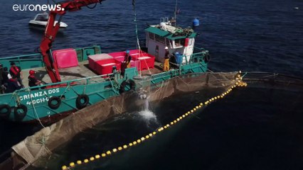 Европейские рыбаки недоплачивают налог на топливо