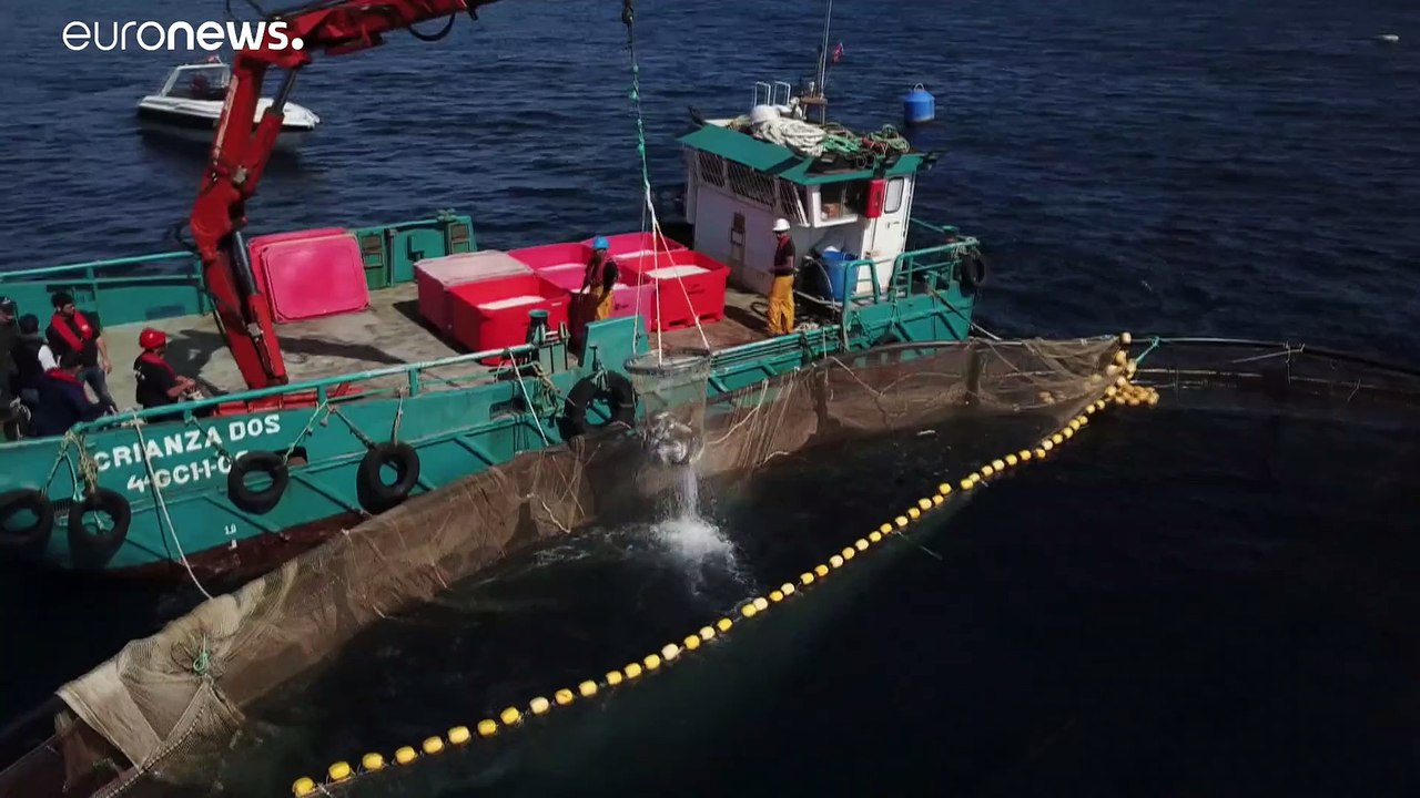 Европейские рыбаки недоплачивают налог на топливо