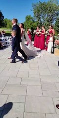 Tired Ring Bearer Takes Nap on Pillow After Successful Delivery