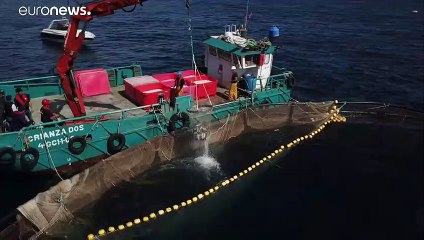 Imposto sobre combustíveis no setor das pescas gera fricção