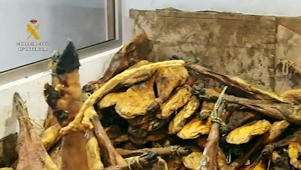 Estafa alimentos ibericos nacional validada