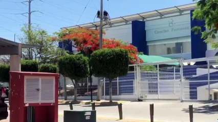 Vinculan a proceso a exdirector del IJCF, Luis Cotero Bernal, por caso de tráileres de la muerte