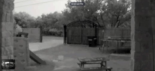 Doorbell Camera Catches Deer Running into Gate Pole