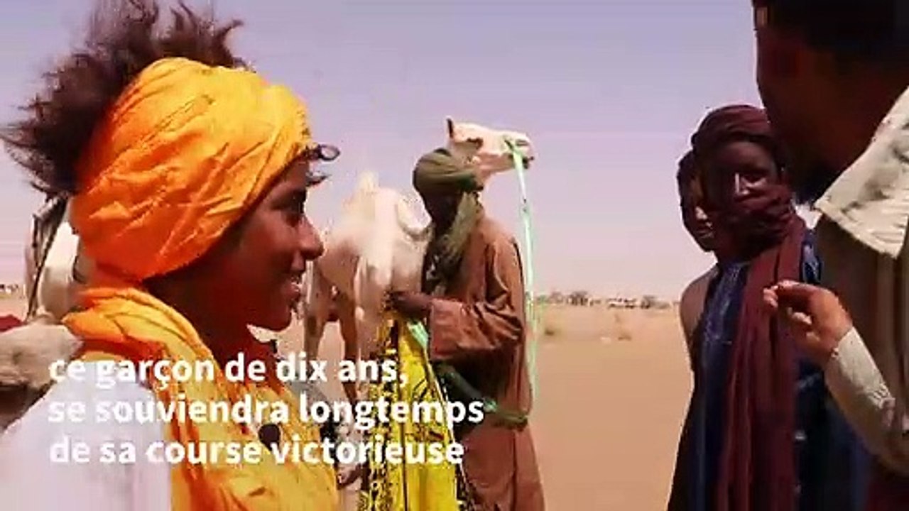 Au Niger, l'une des principales courses de chameaux du Sahara