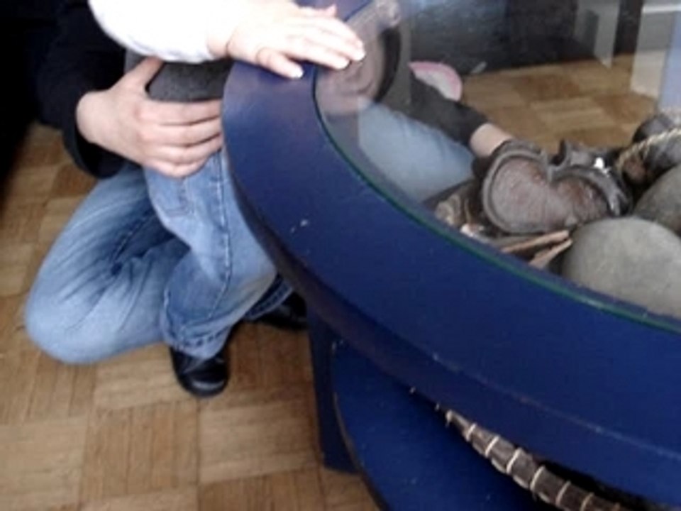 lucas chez son papi le 2 mars 2008