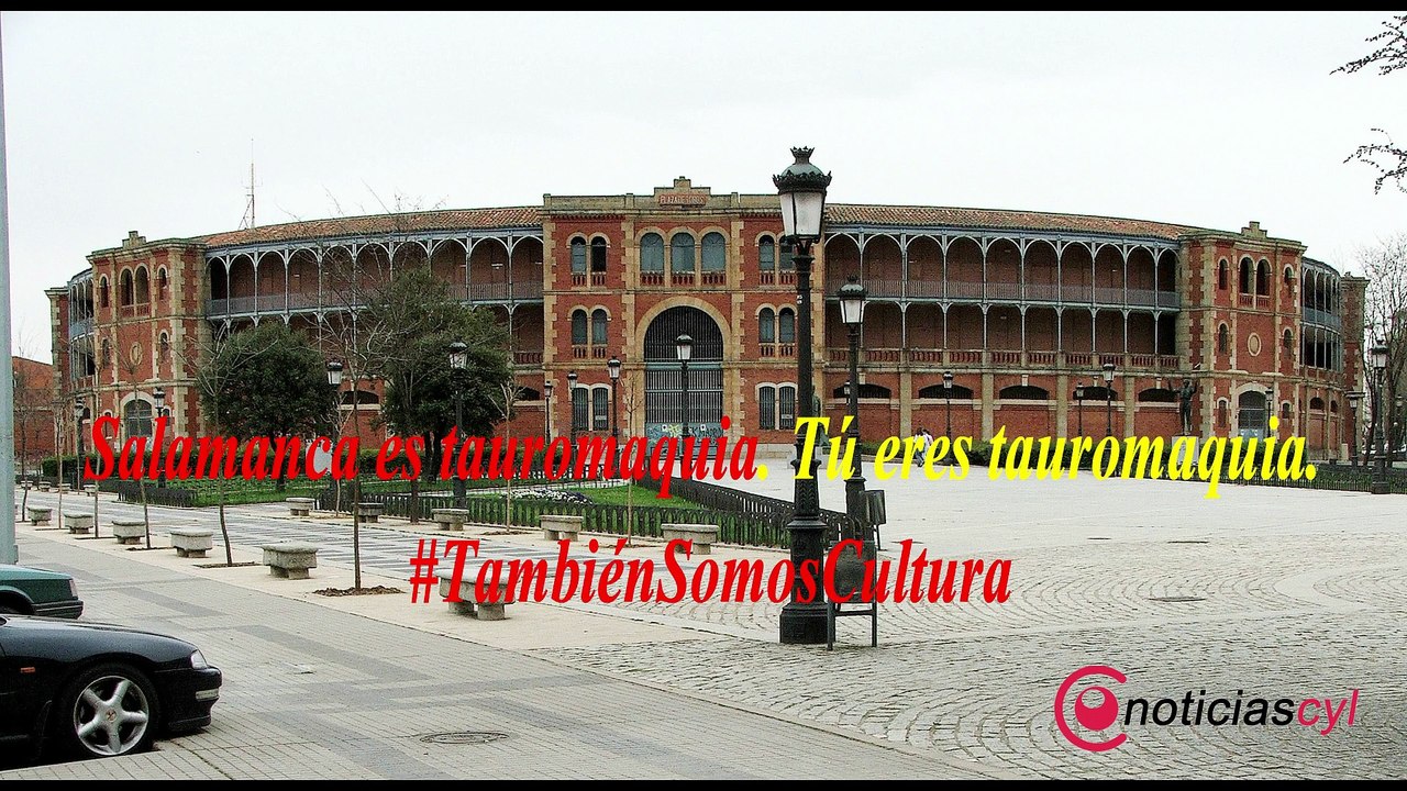 PASEO POR LA TAUROMAQUIA SALAMANCA 2020