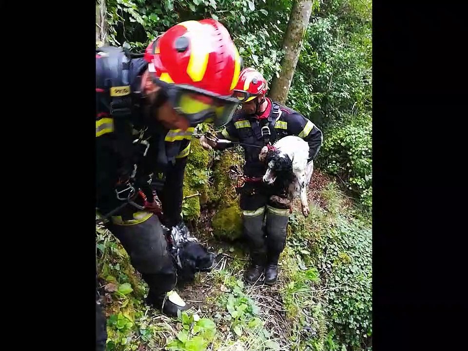 Rescate Castillo Cornatel