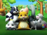 ZhuZhu Pets: Trailer oficial