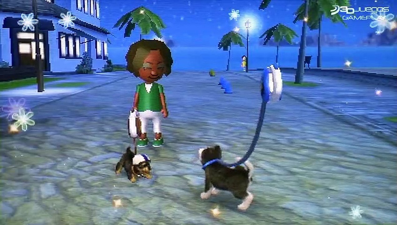 Nintendogs + Cats: Gameplay: Al Buen Paseo Perruno
