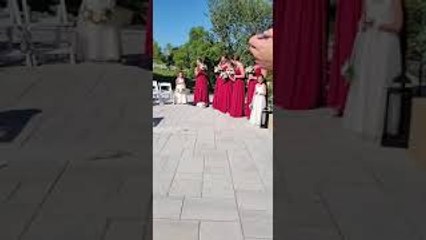 Tired Ring Bearer Takes Nap on Pillow After Successful Delivery