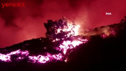 Dehşete düşüren görüntüler! 100'den fazla evi yaktı hızla ilerliyor