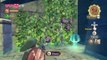 Zelda Skyward Sword: Skyview Temple