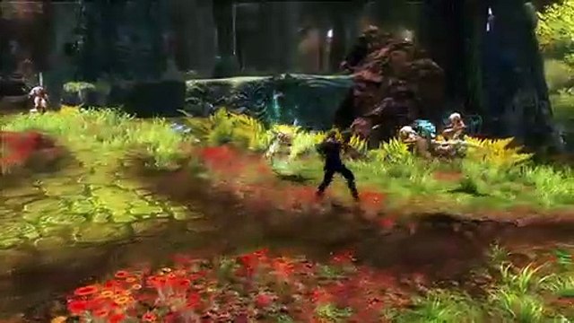 Kingdoms of Amalur Reckoning: A Hero's Guide to Amalur