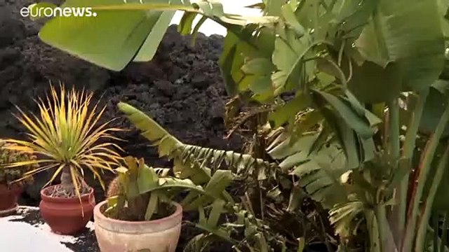 El volcán de La Palma sigue activo y emite miles de toneladas de dióxido de azufre