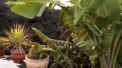 El volcán de La Palma sigue activo y emite miles de toneladas de dióxido de azufre