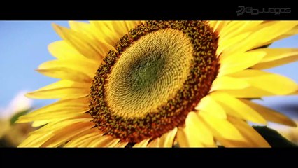 Mass Effect 3: Take Earth Back (extendido)