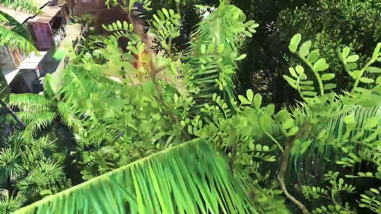Far Cry 3: Trailer E3 2012