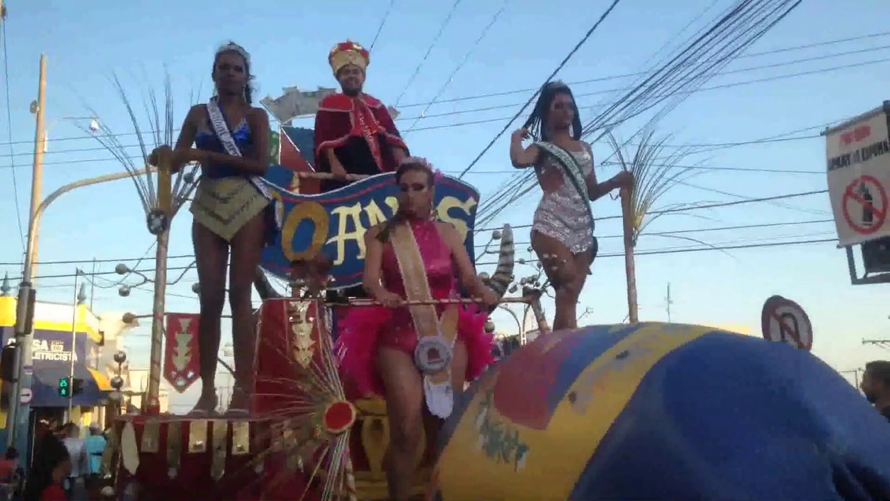 BLOCO DA VACA 2020 - ARTUR NOGUEIRA -   DOMINGO (P1)