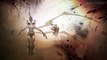 God of War Ascension: Furies Trailer