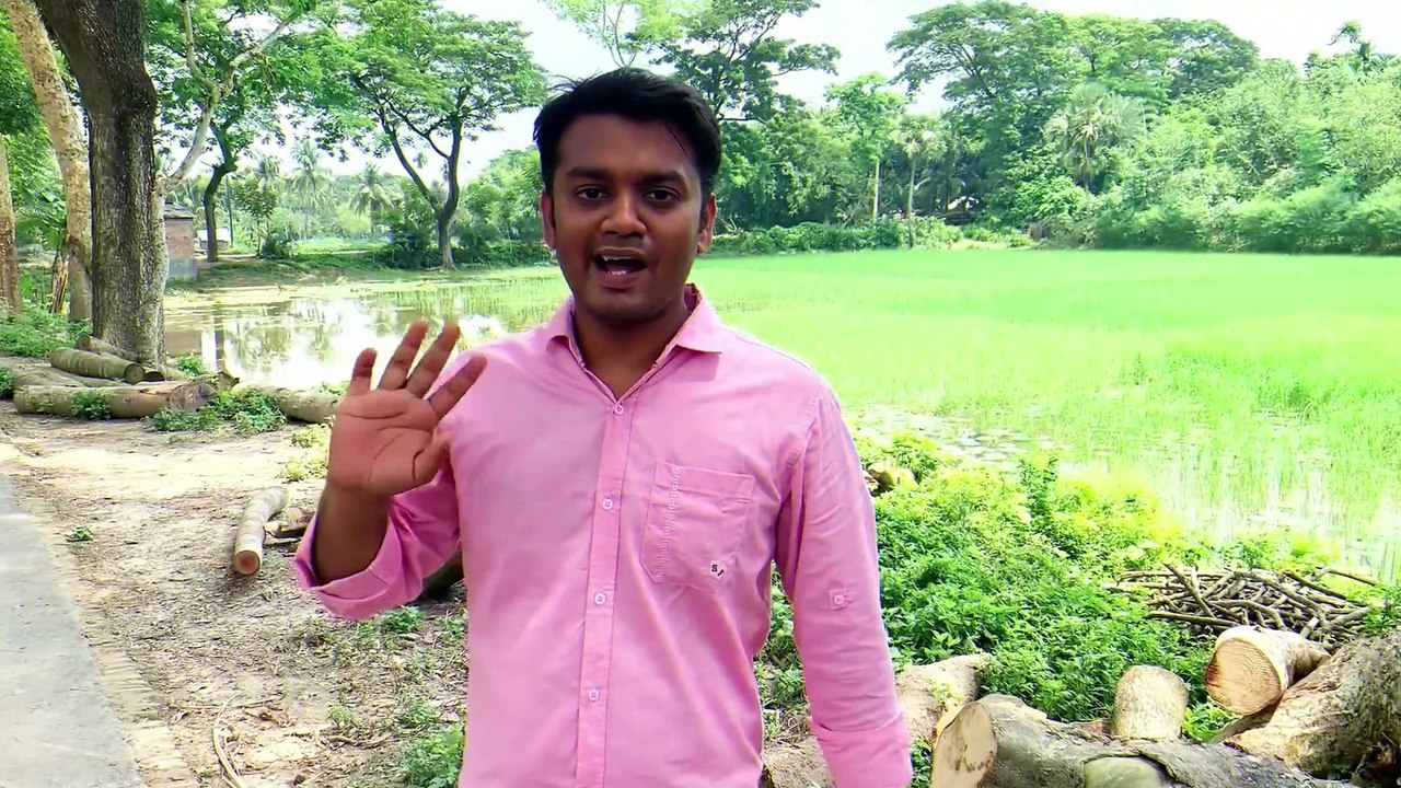 ভরত রাজার দেউল - কেশবপুর, যশোর