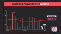 México registró 230 muertes en las últimas 24 horas