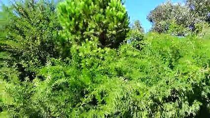 Gümüşlük Sahilleri-24.09.2021