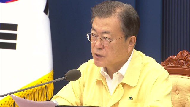 동물은 물건이 아니다 ...민법 개정안 국무회의 통과 / YTN