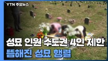 성묘 인원 수도권 4인·비수도권 8인 제한...추모공원 한산 / YTN
