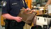 How 26,000 counterfeit products are seized and destroyed at JFK Airport