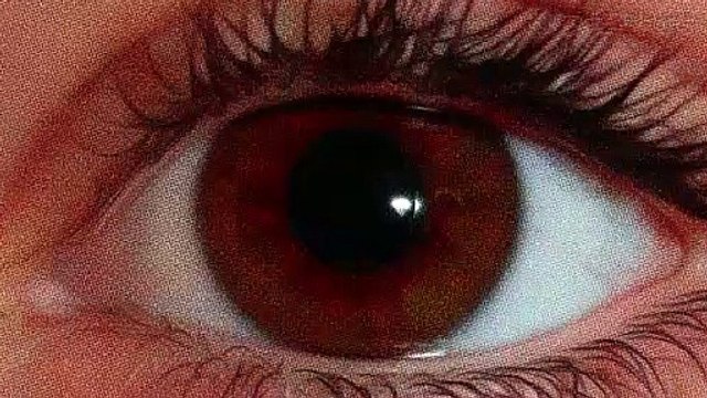 Dead Synchronicity: Trailer