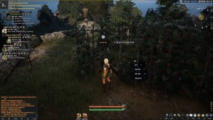 Black Desert Online: Questing