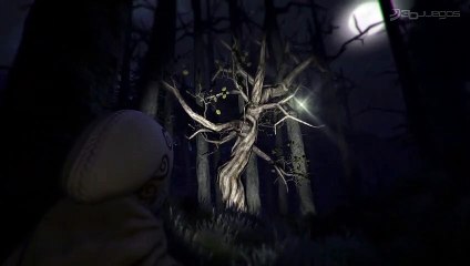 Through the Woods: Tráiler de Anuncio