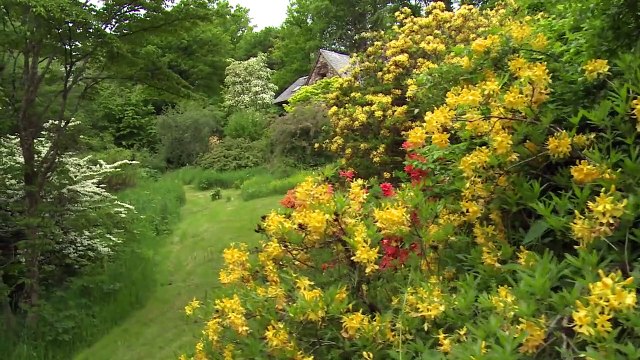 Gilles Clément, le jardin en mouvement (2017) - Bande annonce