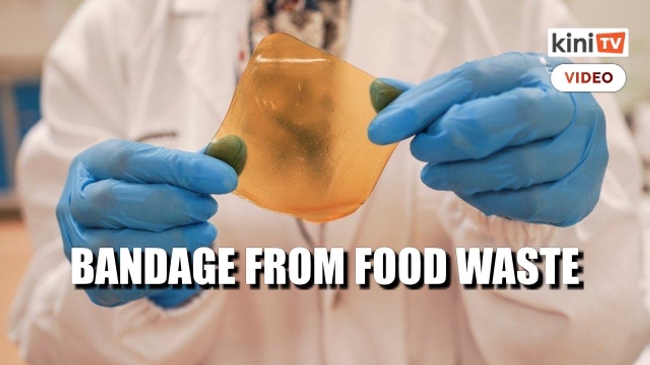 Would you wear food waste as a bandage?
