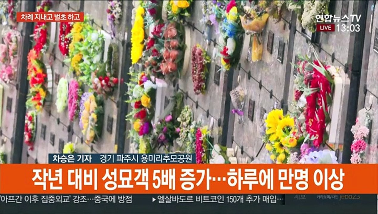 "성묘객 작년 대비 5배"…성묘 때도 방역준수