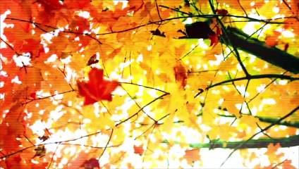 Knoxville: Vídeo Introductorio del Prototipo